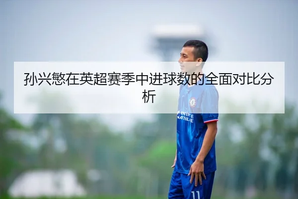 孙兴慜在英超赛季中进球数的全面对比分析