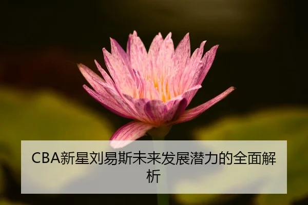xin-xing-liu-yi-si-wei-lai-fa-zhan-qian-li-de-quan-mian-jie-xi-2-590.jpg